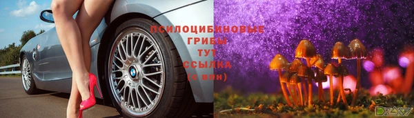 мдпв Баксан