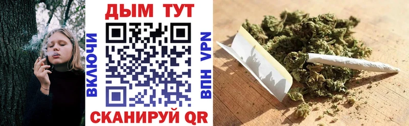 Бошки Шишки индика  Бологое 
